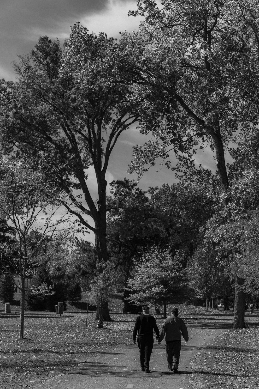 elderly couple holding hands in park